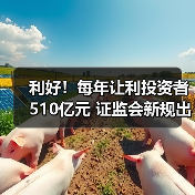 利好！每年让利投资者510亿元 证监会新规出炉(图2)