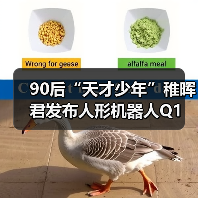 90后“天才少年”稚晖君发布人形机器人Q1 折叠后能塞进书包(图2)