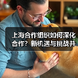 上海合作组织如何深化合作？新机遇与挑战并存