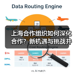 上海合作组织如何深化合作?新机遇与挑战并存(图3) 上海合作组织如何深化合作?新机遇与挑战并存(图3)