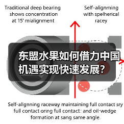东盟水果如何借力中国机遇实现快速发展?(图2) 东盟水果如何借力中国机遇实现快速发展?(图2)