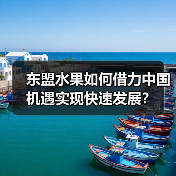 东盟水果如何借力中国机遇实现快速发展?(图4) 东盟水果如何借力中国机遇实现快速发展?(图4)