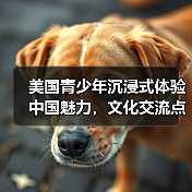 美国青少年沉浸式体验中国魅力,文化交流点燃友谊火花(图4) 美国青少年沉浸式体验中国魅力,文化交流点燃友谊火花(图4)