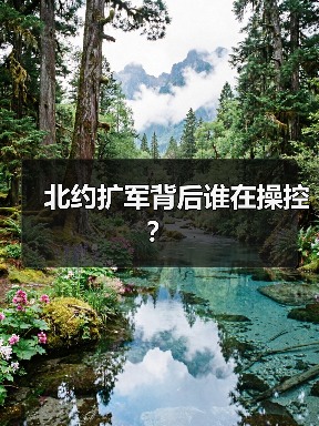 北约扩军背后谁在操控?(图4) 北约扩军背后谁在操控?(图4)