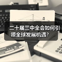 二十届三中全会如何引领全球发展机遇？