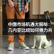 中国市场机遇大揭秘:几内亚比绍如何借力共赢?(图4) 中国市场机遇大揭秘:几内亚比绍如何借力共赢?(图4)
