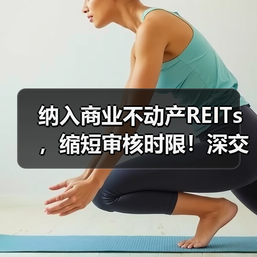 纳入商业不动产REITs,缩短审核时限!深交所修订发布REITs配套自律监管规则(图3) 纳入商业不动产REITs,缩短审核时限!深交所修订发布REITs配套自律监管规则(图3)