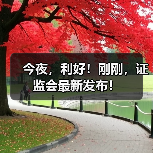 今夜，利好！刚刚，证监会最新发布！(图1)