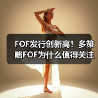 FOF发行创新高!多策略FOF为什么值得关注?(图4) FOF发行创新高!多策略FOF为什么值得关注?(图4)