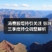 消费股增持引关注 张坤三季度持仓调整解析(图2) 消费股增持引关注 张坤三季度持仓调整解析(图2)