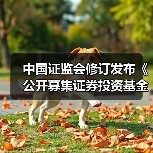 中国证监会修订发布《公开募集证券投资基金销售费用管理规定》(图3) 中国证监会修订发布《公开募集证券投资基金销售费用管理规定》(图3)