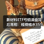 新材料ETF亏损清盘背后真相:规模缩水35%如何影响投资者?(图2) 新材料ETF亏损清盘背后真相:规模缩水35%如何影响投资者?(图2)