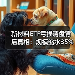 新材料ETF亏损清盘背后真相:规模缩水35%如何影响投资者?(图3) 新材料ETF亏损清盘背后真相:规模缩水35%如何影响投资者?(图3)