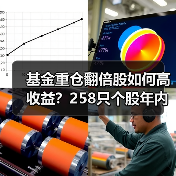 基金重仓翻倍股如何高收益?258只个股年内涨超一倍(图4) 基金重仓翻倍股如何高收益?258只个股年内涨超一倍(图2)