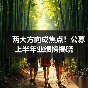 两大方向成焦点!公募上半年业绩榜揭晓(图2) 两大方向成焦点!公募上半年业绩榜揭晓(图2)