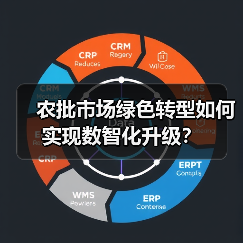 农批市场绿色转型如何实现数智化升级？