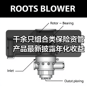 千余只组合类保险资管产品最新披露年化收益率为正