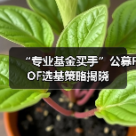 “专业基金买手”公募FOF选基策略揭晓(图4) “专业基金买手”公募FOF选基策略揭晓(图3)