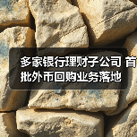 多家银行理财子公司 首批外币回购业务落地
