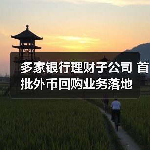 多家银行理财子公司 首批外币回购业务落地(图2) 多家银行理财子公司 首批外币回购业务落地(图2)