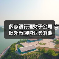 多家银行理财子公司 首批外币回购业务落地(图4) 多家银行理财子公司 首批外币回购业务落地(图4)