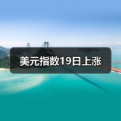 美元指数19日上涨(图3) 美元指数19日上涨(图3)