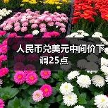 人民币兑美元中间价下调25点(图2)