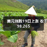 美元指数19日上涨 收于98.265(图4) 美元指数19日上涨 收于98.265(图4)