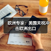 欧洲专家:美国关税冲击欧洲出口(图4) 欧洲专家:美国关税冲击欧洲出口(图4)
