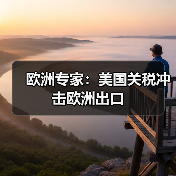欧洲专家:美国关税冲击欧洲出口(图3) 欧洲专家:美国关税冲击欧洲出口(图3)