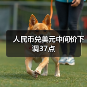 人民币兑美元中间价下调37点(图4)