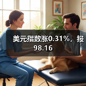 美元指数涨0.31%,报98.16(图3) 美元指数涨0.31%,报98.16(图3)