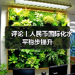 评论丨人民币国际化水平稳步提升(图4) 评论丨人民币国际化水平稳步提升(图3)