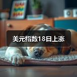 美元指数18日上涨(图3) 美元指数18日上涨(图3)