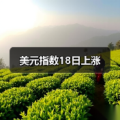 美元指数18日上涨(图4) 美元指数18日上涨(图4)