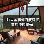 独立董事刘海波辞任,背后原因曝光(图3) 独立董事刘海波辞任,背后原因曝光(图3)