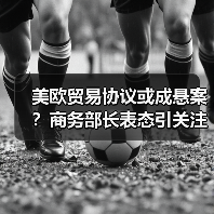 美欧贸易协议或成悬案？商务部长表态引关注(图2)