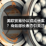 美欧贸易协议或成悬案？商务部长表态引关注(图3)