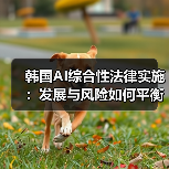 韩国AI综合性法律实施：发展与风险如何平衡？