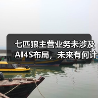 七匹狼主营业务未涉及AI4S布局，未来有何计划？