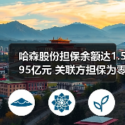 哈森股份担保余额达1.595亿元 关联方担保为零(图2) 哈森股份担保余额达1.595亿元 关联方担保为零(图2)