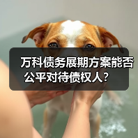 万科债务展期方案能否公平对待债权人？