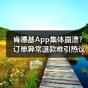 肯德基App集体崩溃?订单异常退款难引热议(图4) 肯德基App集体崩溃?订单异常退款难引热议(图4)