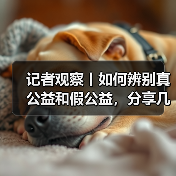 记者观察丨如何辨别真公益和假公益，分享几个识别小心得
