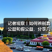 记者观察丨如何辨别真公益和假公益,分享几个识别小心得(图4) 记者观察丨如何辨别真公益和假公益,分享几个识别小心得(图4)