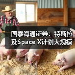 国泰海通证券：特斯拉及Space X计划大规模部署光伏产能 看好光伏设备产业新周