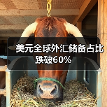 美元全球外汇储备占比跌破60%(图3) 美元全球外汇储备占比跌破60%(图3)