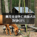 美元全球外汇储备占比跌破60%(图4) 美元全球外汇储备占比跌破60%(图4)