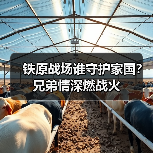 铁原战场谁守护家国？兄弟情深燃战火