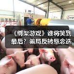 《绑架游戏》谁将笑到最后?骗局反转悬念迭起(图1) 《绑架游戏》谁将笑到最后?骗局反转悬念迭起(图1)